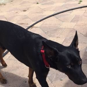 Meet your Posher, Matt